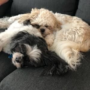 Meet your Posher, Laurie